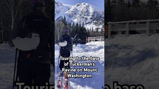 Touring to Tuckerman’s Ravine on Mount Washington and Skiing the Sherburne Trail backcountryskiing [upl. by Pru]