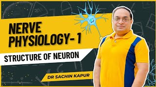 MBBS First Year  Nerve Physiology  Structure of Neuron Dr Sachin Kapur  AIIMS [upl. by Nicolina]