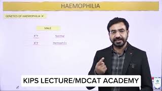 Hemophilia  Genetics  Kips lecture [upl. by Ellinad274]