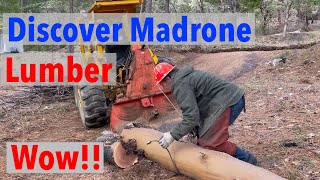 Does Madrone Make Good Lumber Find Out w Woodmizer LT15 Sawmill [upl. by Simpkins528]