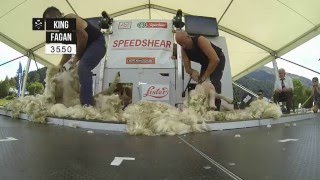 Speed Shearing action at Hilux New Zealand Rural Games 2015 [upl. by Vina157]