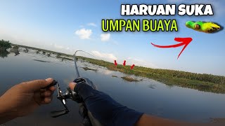 UMPAN BUAYA VS HARUAN DELTA‼️CASTING IKAN GABUS SPOT DELTA MAHAKAM [upl. by Casi]