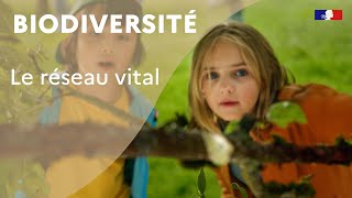 Biodiversité  le réseau vital [upl. by Iarised]