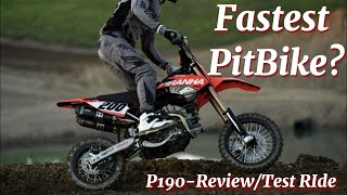 Worlds FASTEST PitBike Piranha 190 Daytona 4V DE [upl. by Drusy114]