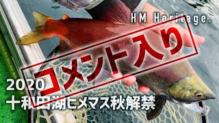 【コメント入り】十和田湖ヒメマス秋解禁2020Lake Towada【HM Heritage】 [upl. by Enytsirhc149]