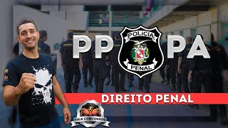 Lei 1285013  Organizações Criminosas  Direito Penal  PPPA [upl. by Okuy181]