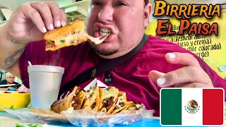 BEST BIRRIA TACOS IN LOS ALGODONES MEXICO [upl. by Ailahtan]