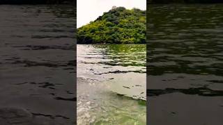 somasila reservoir part 4viralvideo youtubeshorts youtube shortvideo subscribe 😍🤗🤩👍👌 [upl. by Alien]