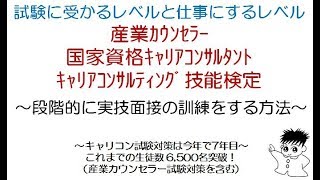 カウンセラー・キャリアコンサルタント試験の合格レベルと相談実践レベルの比較と実技練習の際のチェックポイント [upl. by Annohsak]