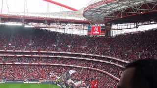 O voo espetacular da águia do Benfica  Estádio da Luz  Lisboa [upl. by Nimar]