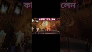 kasibose lane durgapuja 2024 II Durgapuja II minivlog durgapuja2024 [upl. by Jaime]