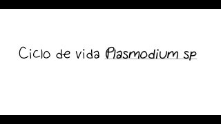 REPASO CICLO DE VIDA PLASMODIUM SP P falciparum P vivax Povale P malariae PURA CIENCIA [upl. by Ahsratan]