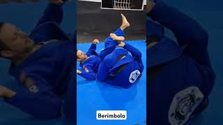 Berimbolo jiujitsu [upl. by Dnalhsa877]