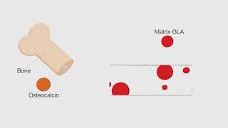 How Do Vitamins D3 amp K2 Work Together [upl. by Ailat]